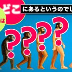 証拠はどこにあるというのでしょう？